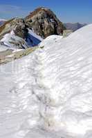 Traces in the snow Valais Switzerla