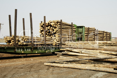 Logs in Transit 3