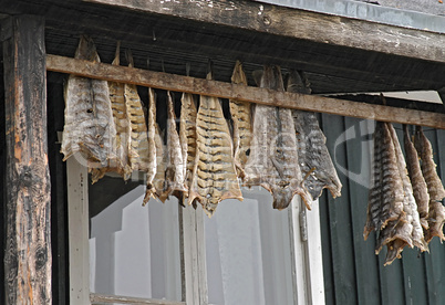 Detail Image Dried Fish