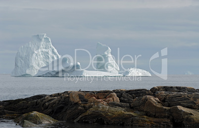 Icebergs off the Coast of Greenland