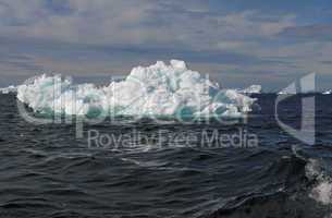 Icebergs off the Coast of Greenland