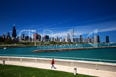 Sears Tower and the Chicago Skyline