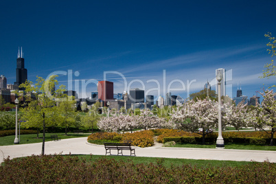 Chicago Skyline