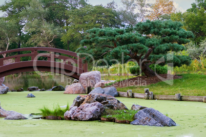 Pond in Chicago's - Japanese Garden