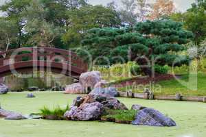 Pond in Chicago's - Japanese Garden
