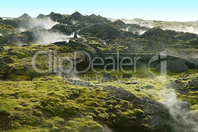 Steaming field in Southern Iceland