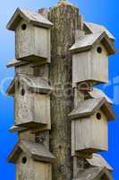 Bird nesting boxes