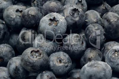 Blueberries