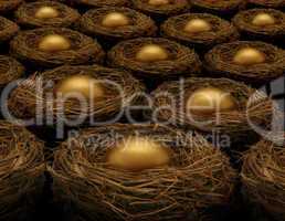 Multiple golden nest eggs