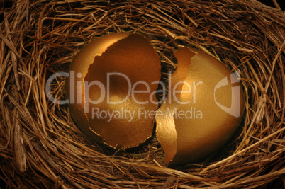 A cracked golden nest egg