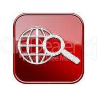 globe and magnifier icon glossy red, isolated on white backgroun