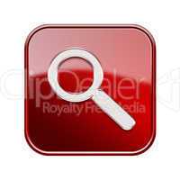 Magnifier icon glossy red, isolated on white background