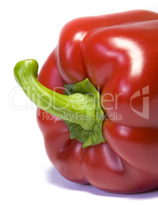 Red Pepper