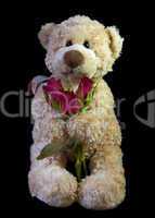 Teddy Bear and Red Rosebuds