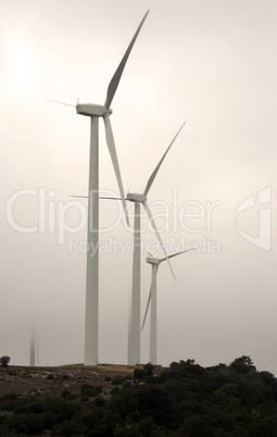 Wind Turbines in the Fog, Spain