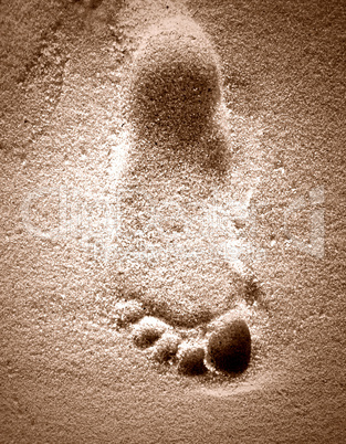 Footprint