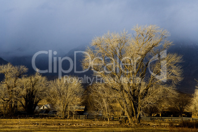 Owens Valley Sunrise