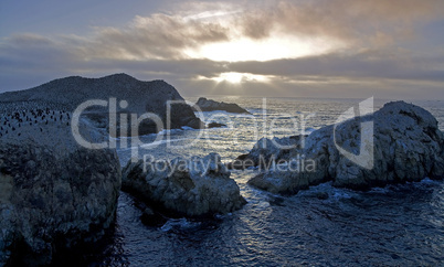 Sunset at Point Lobos