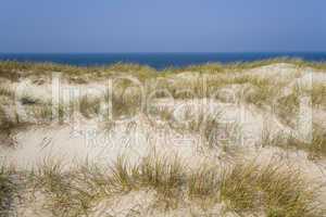 Danish North Sea dunes