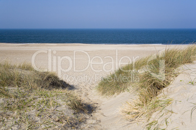 North Sea dunes