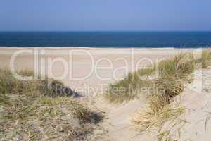 North Sea dunes