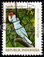 Postage stamp Indonesia 1981 Moluccan Cockatoo, Bird