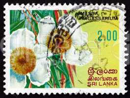Postage stamp Sri Lanka 1982 Ceylon Ironwood, Mesua Nagassarium,