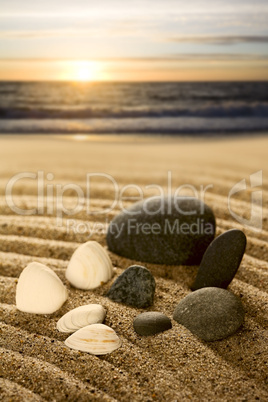 Stones and shells at the North Sea
