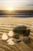 Stones and shells at the North Sea