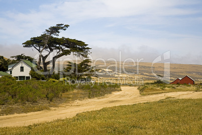 Channel Islands Farm