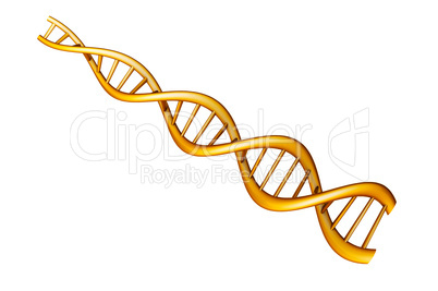Golden DNA molecule