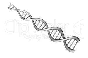 DNA molecule