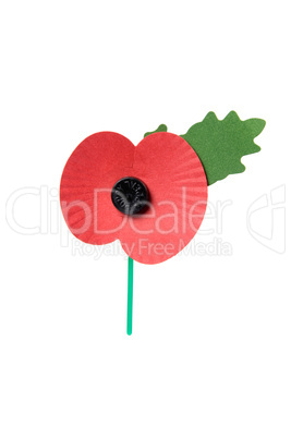 Poppy appeal pin