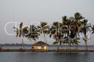 backwaters Kerala India