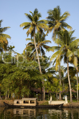 backwaters Kerala India