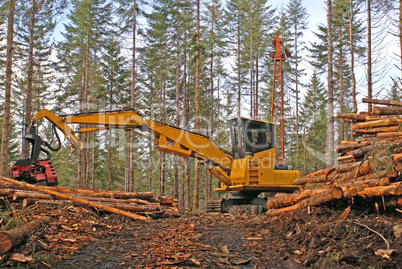 Logging in Oregon