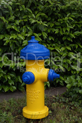 Blue and Yellow Fire Hydrant