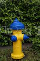 Blue and Yellow Fire Hydrant