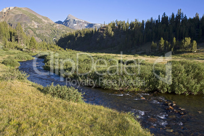 Yosemite Trout Stream