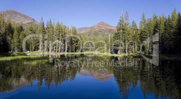 Yosemite Pond Reflection