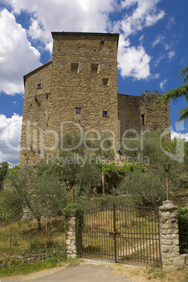 Castel S. Niccolo near Strada Italy