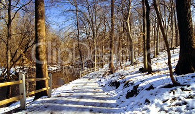Hiking Path with Snow
