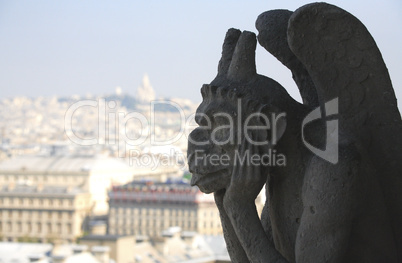 Notre Dame Gargoyle