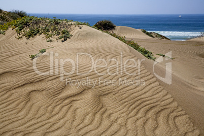 Los Osos Sand Dunes