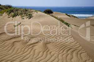 Los Osos Sand Dunes