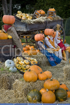 Halloween dressed up garden