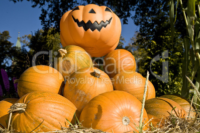 Heap of Halloween pumpkins