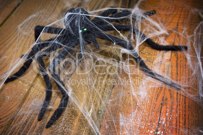 Enormous Halloween spider