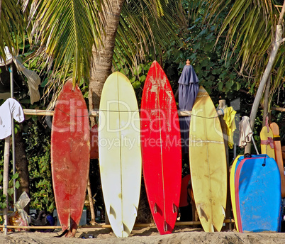 Image of Colorful Surfboards