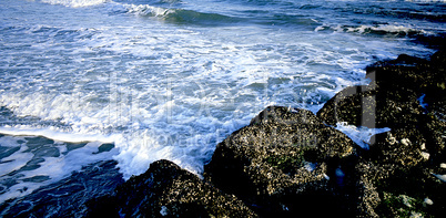 Seascape; Ocean Surf
